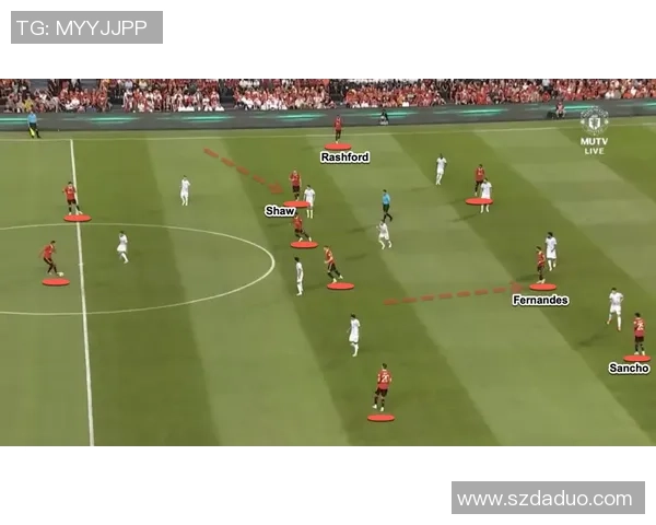 成都排球队的反击革新之路:重塑战术与团队精神的全新探索 成都排球队的反击革新之路:重塑战术与团队精神的全新探索