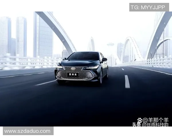 武汉排球队在洲际杯积分榜上以50分稳居第一名展现强劲实力